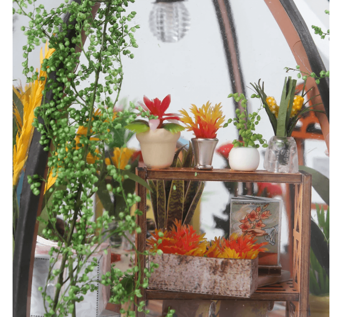 Бук нук "Звездный сад" – миниатюрная оранжерея с прозрачным куполом и подсветкой